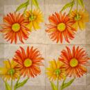 348 Daisies - 3-ply - CS